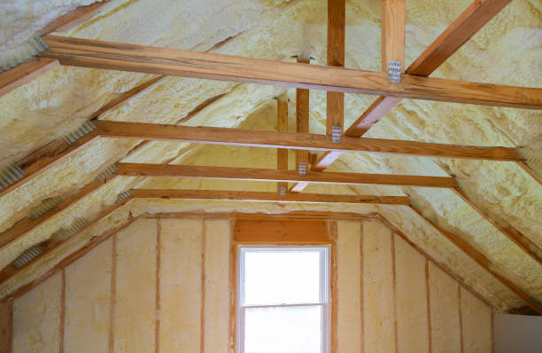 Best Spray Foam Insulation in Vaiden, MS