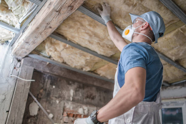 Professional Insulation Contractor in Vaiden, MS