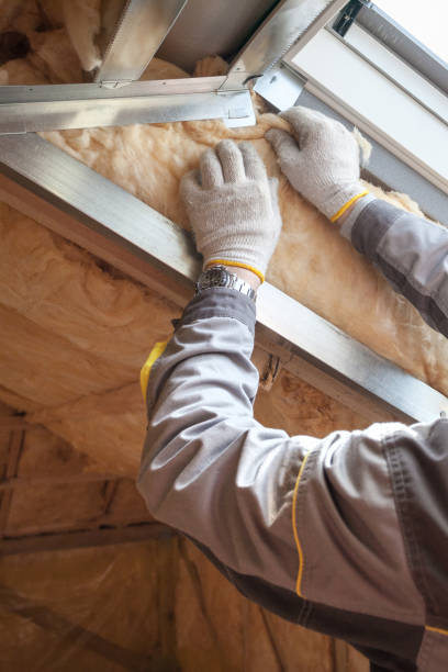 Best Commercial Insulation in Vaiden, MS