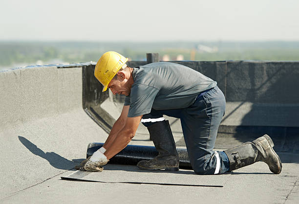 Best Cellulose Insulation in Vaiden, MS
