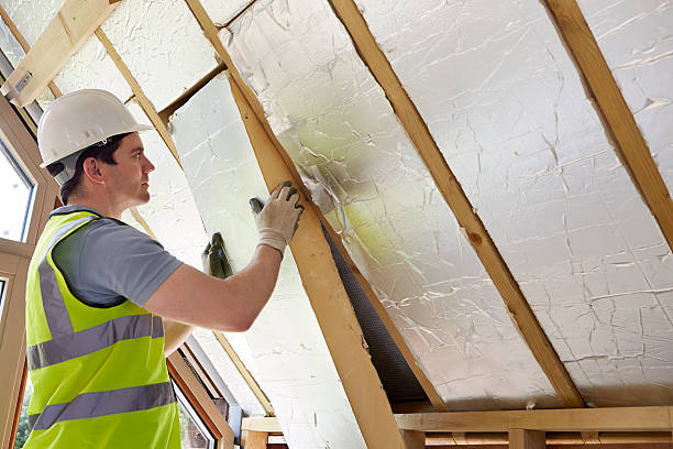 Best Energy Efficiency Insulation in Vaiden, MS