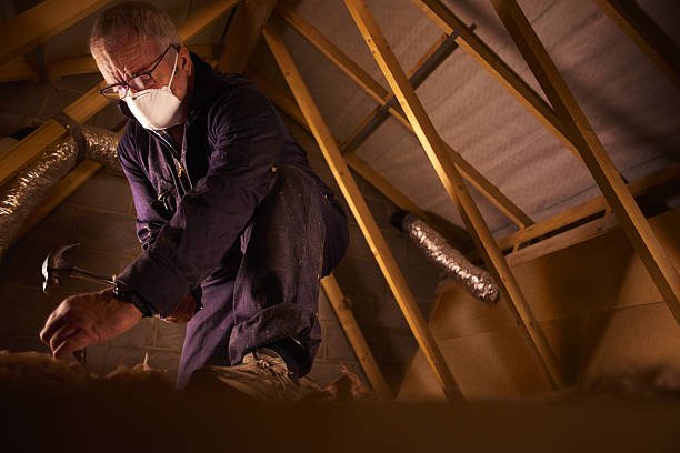 Types of Insulation We Offer in Vaiden, MS